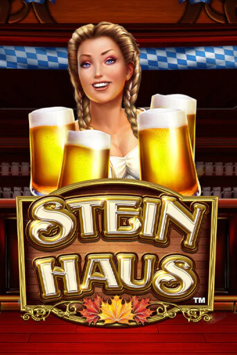 Stein Haus демо игровой автомат | VAVADA Казино бесплатно